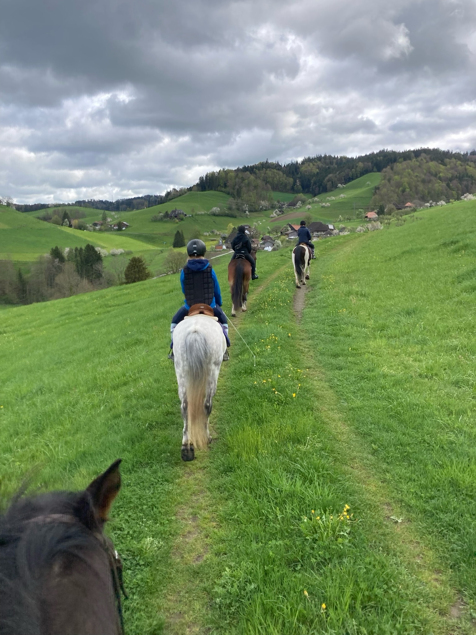 Reitunterricht im Gelände